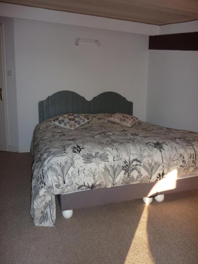 Beaux Chenes Bed and Breakfast Nérac Buitenkant foto